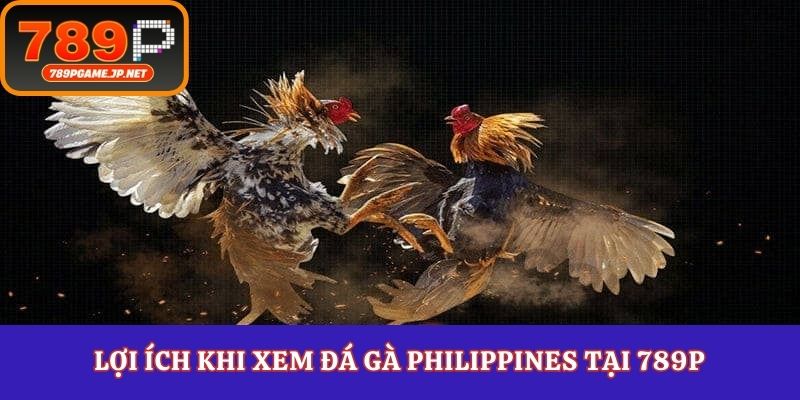 Lợi ích khi xem đá gà Philippines tại 789P